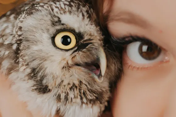 カジノ オールスター スロッツ サポート